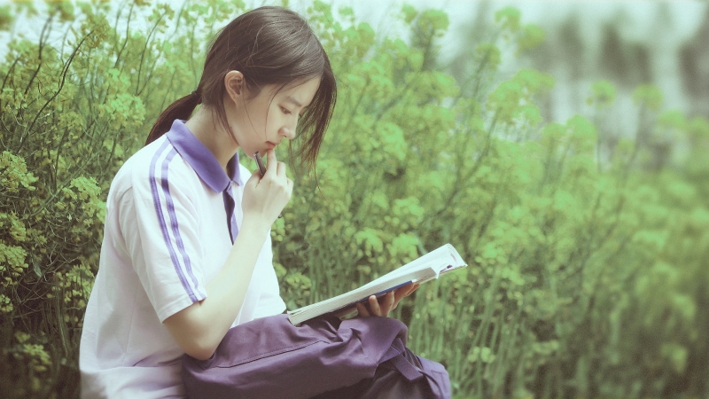 原神魈怎么配队 魈配队阵容推荐